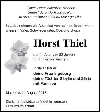 Traueranzeige von Horst Thiel von Müritz-Zeitung