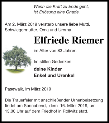 Traueranzeige von Elfriede Riemer von Haff-Zeitung