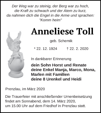 Traueranzeige von Anneliese Toll von Prenzlauer Zeitung