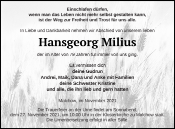 Traueranzeige von Hansgeorg Milius von Müritz-Zeitung