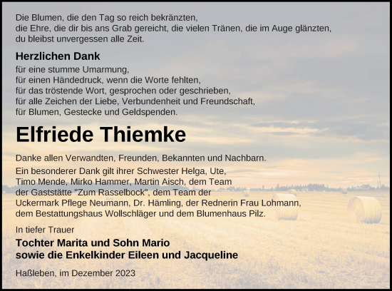 Traueranzeige von Elfriede Thiemke von Prenzlauer Zeitung