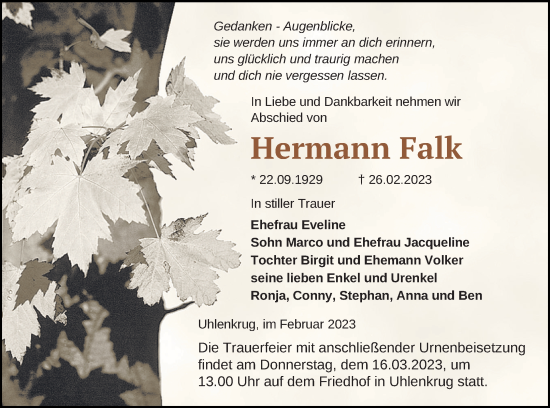 Traueranzeige von Hermann Falk von Pasewalker Zeitung