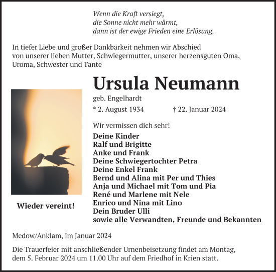 Traueranzeige von Ursula Neumann von Nordkurier Vorpommern Kurier