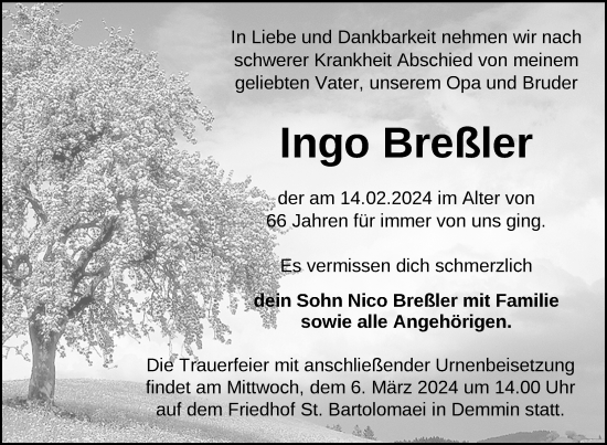 Traueranzeige von Ingo Breßler von Nordkurier Demminer Zeitung