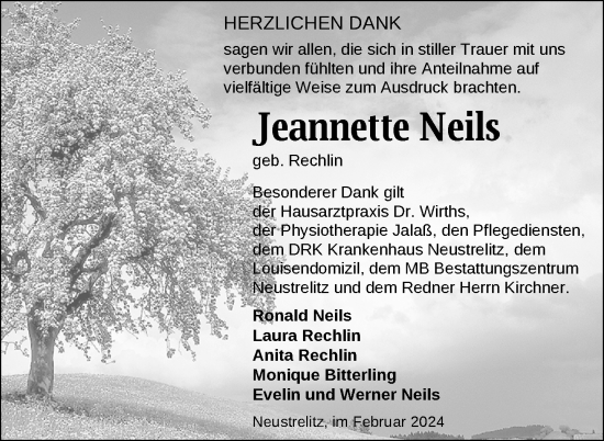 Traueranzeige von Jeannette Neils von Nordkurier Strelitzer Zeitung
