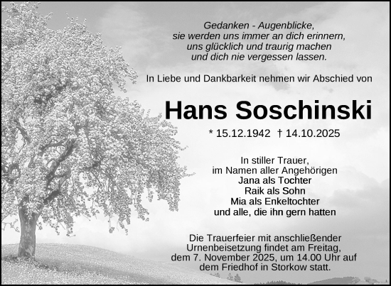 Traueranzeige von Hans Soschinski von Uckermark Kurier Templiner Zeitung