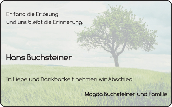 Traueranzeige von Hans Buchsteiner von Zeitung für die Landeshauptstadt