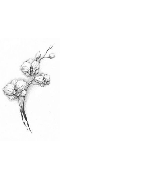 Traueranzeige von Sigried Meyer von Der Prignitzer, Prignitz Express