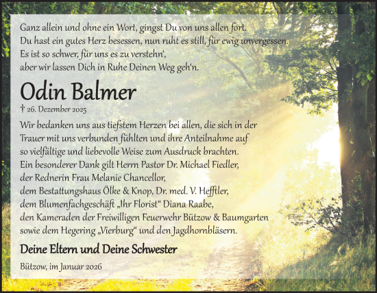 Traueranzeige von Odin Balmer von Güstrow und Bützow