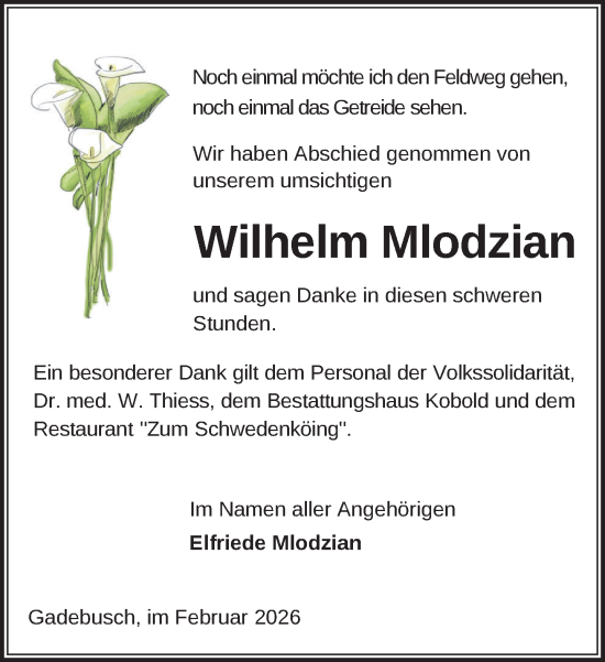 Traueranzeige von Wilhelm Mlodzian von Gadebusch - Rehnaer Zeitung